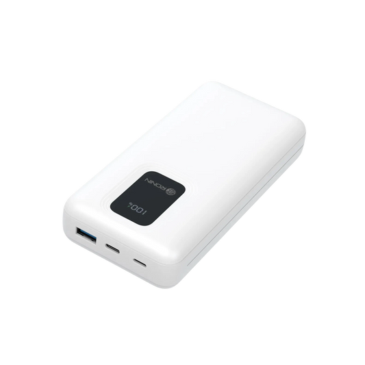 Ronin R-4025 20000mAh Power Bank